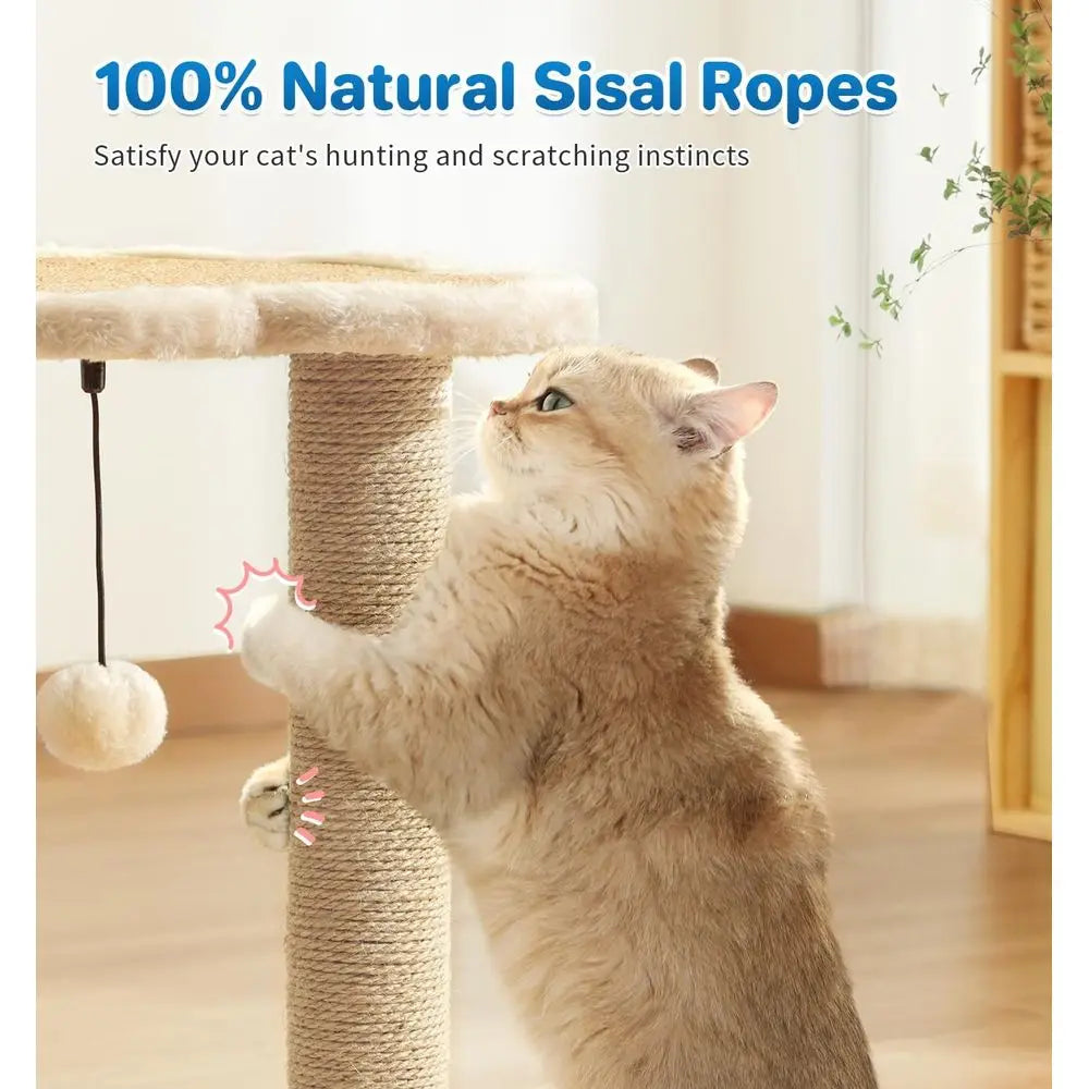 Indoor Cat Scratching Post with Self Groomer Brush & Hanging Ball Toy