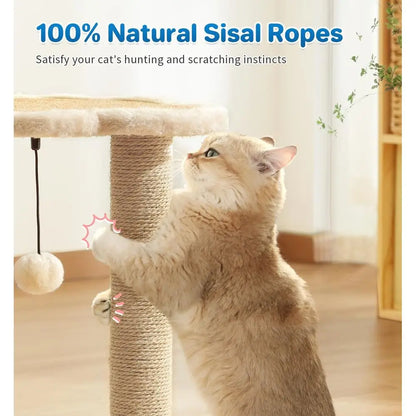 Indoor Cat Scratching Post with Self Groomer Brush & Hanging Ball Toy